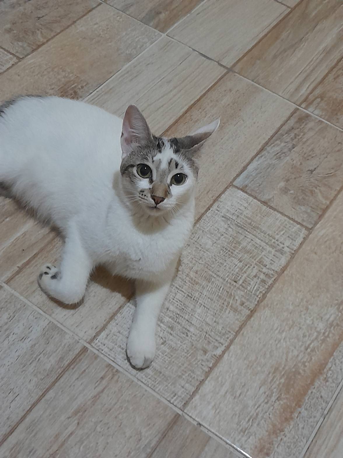 Mya — foto 1
